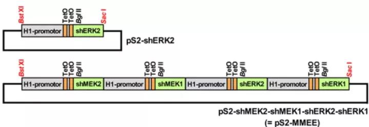 实验总是做不好怎么办,实验难做怎么办