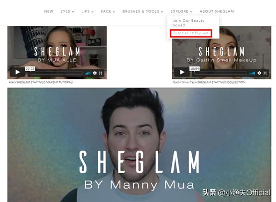 shein跨境电商平台怎么样 (shein跨境电商如何运营)