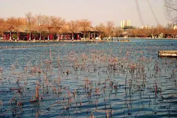 冬季山东山泉水最美最有韵味？济南山泉水美？泰山上下一片银白？