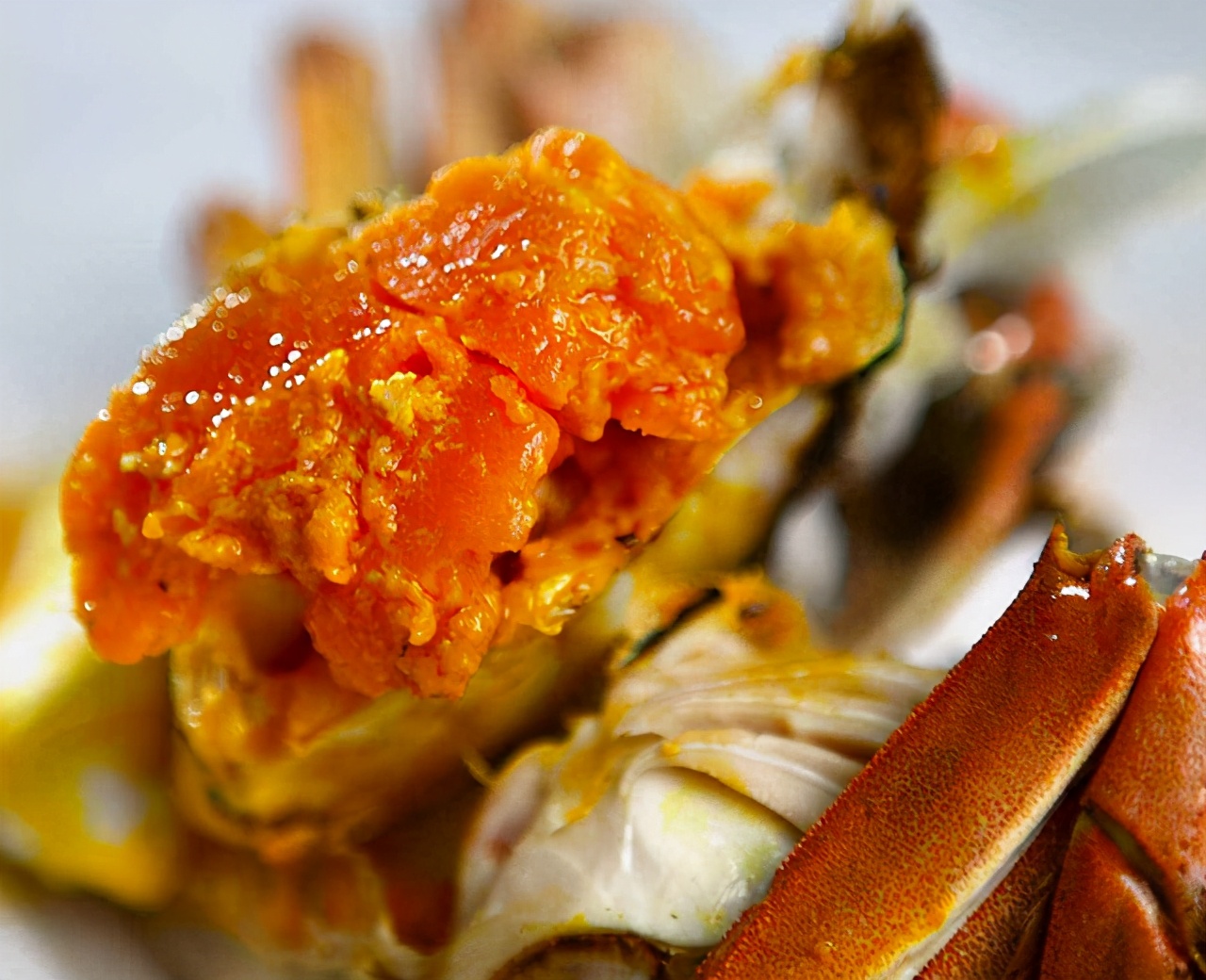 蟹粉鱼肚的正宗做法,蟹粉鱼肚图片