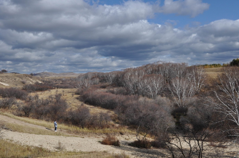 国庆节乌兰布统草原怎么样,乌兰布统草原之旅近期