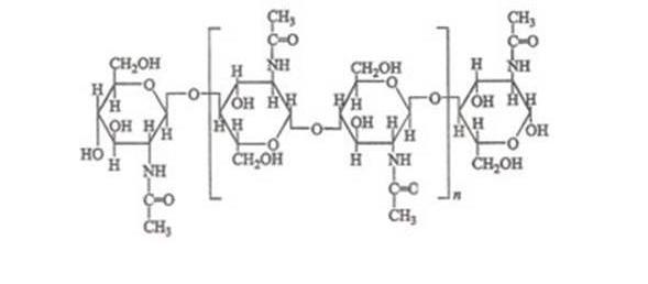 苍蝇消失了对地球有什么影响,苍蝇如果灭绝会造成什么后果