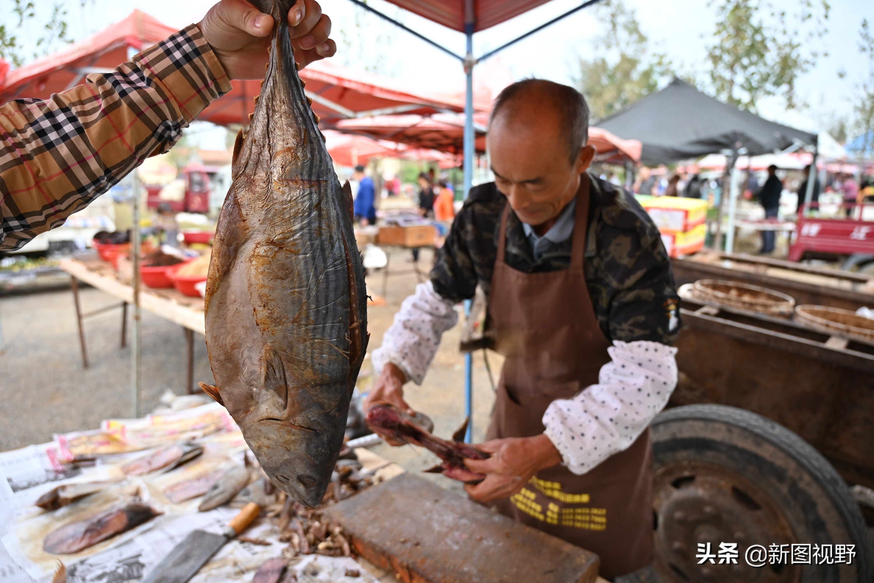 农村卖鱼夫妻,农村夫妇卖鱼视频