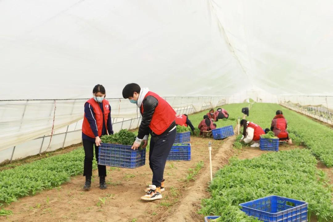 打造三位一体养生养老服务新模式,互联网智慧健康养老服务