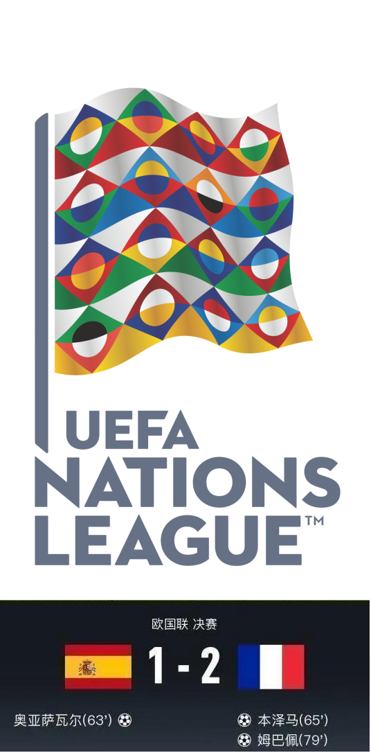 法国男子国家足球队,法国国家男子足球队百科