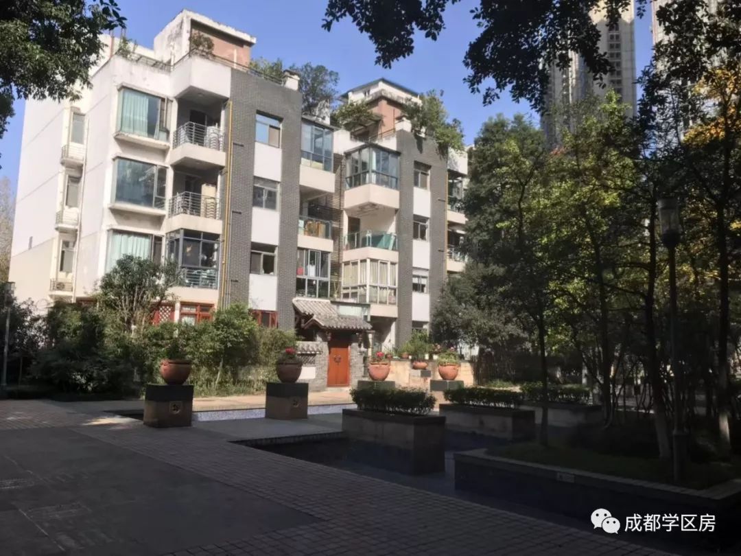 成师附小分校有哪些,成师附小哪个分校最好