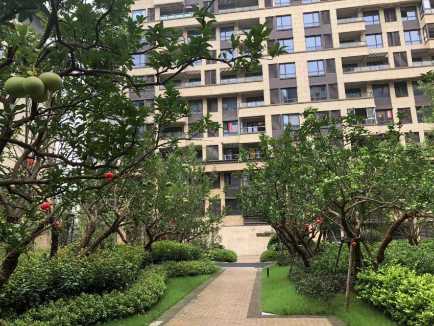 苏州楼盘探盘视频,实景现房网红楼盘