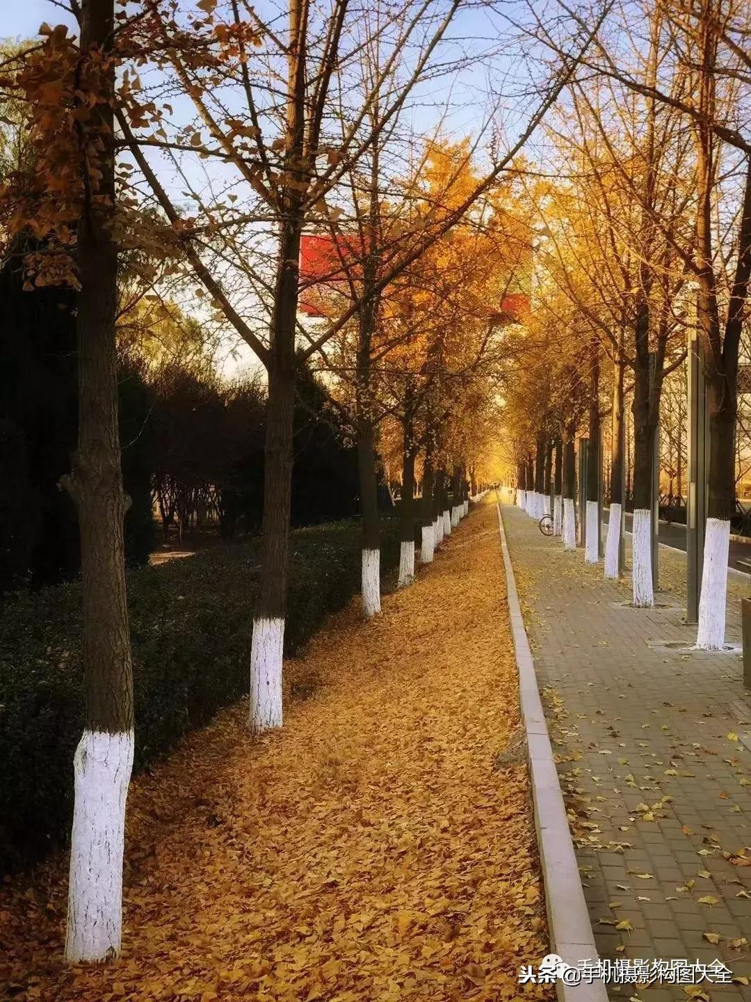 手机摄影怎么拍出好看的景色,手机如何拍出低调的摄影照片