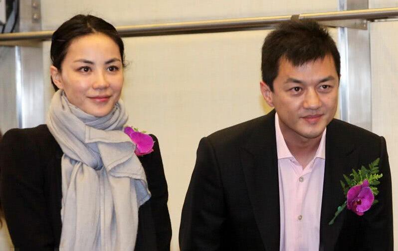 王菲案例分析,王菲李亚鹏著名事件