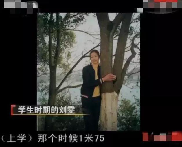 刘雯的经历,刘雯经历