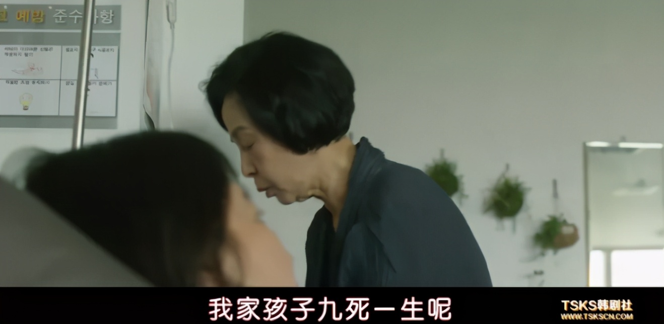 水果姐为什么被骂,卡迪碧孕照