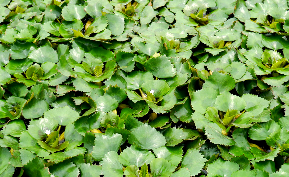 说文解字第六十八课,说文解字96课