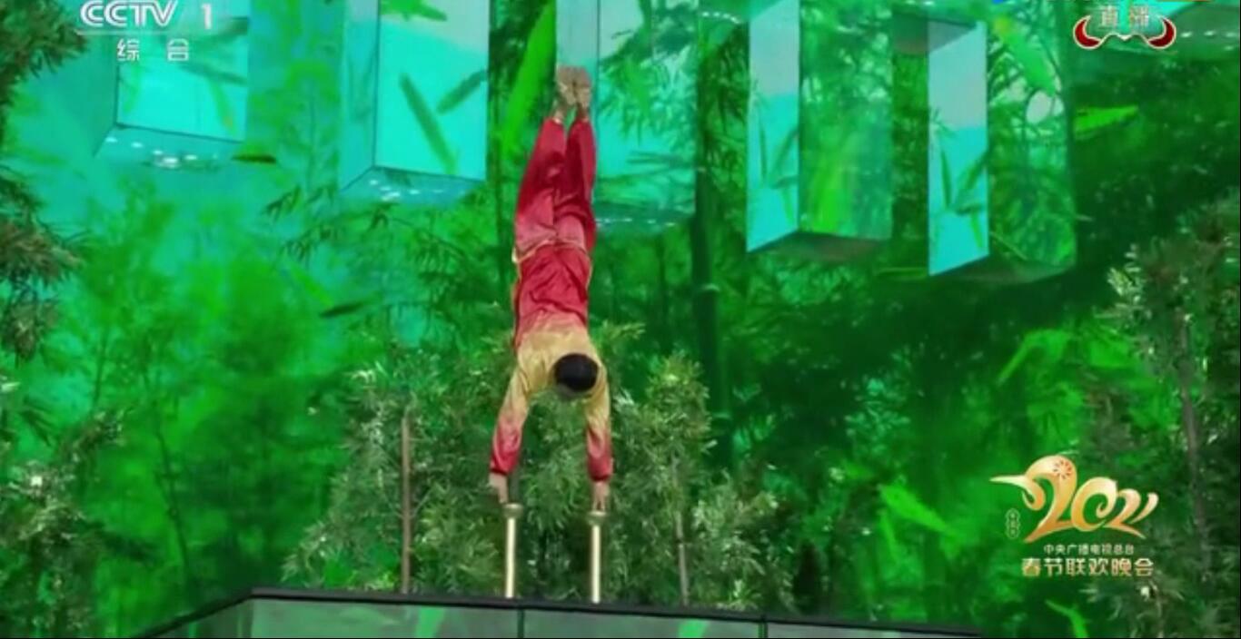 少林塔沟武校实力展示,塔沟武校从哪一年开始登上春晚