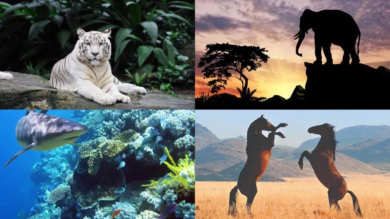 地球日50周年,追求零碳排、资源永续,看美妆品牌为环保做了什么