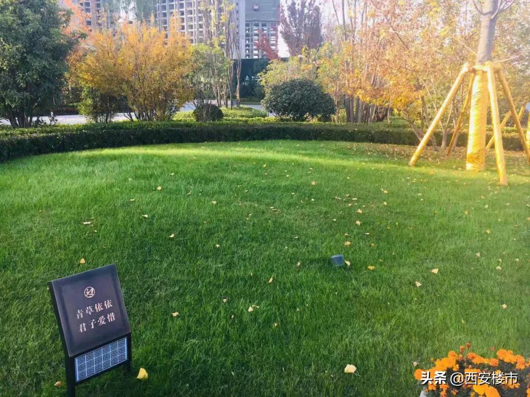 咸阳启迪与秦汉科技城,秦汉启迪佳莲未来科技城怎么样