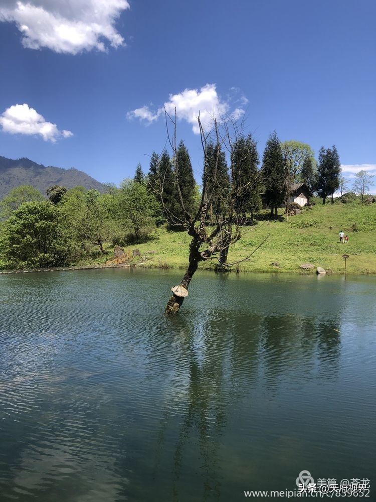 中国百慕大黑竹沟了解一下,穿越黑竹沟揭秘中国百慕大