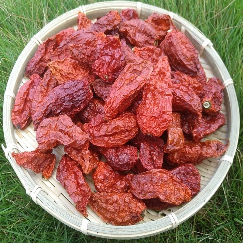 中国最辣的辣椒出自贵州吗,四川最辣的辣椒是什么