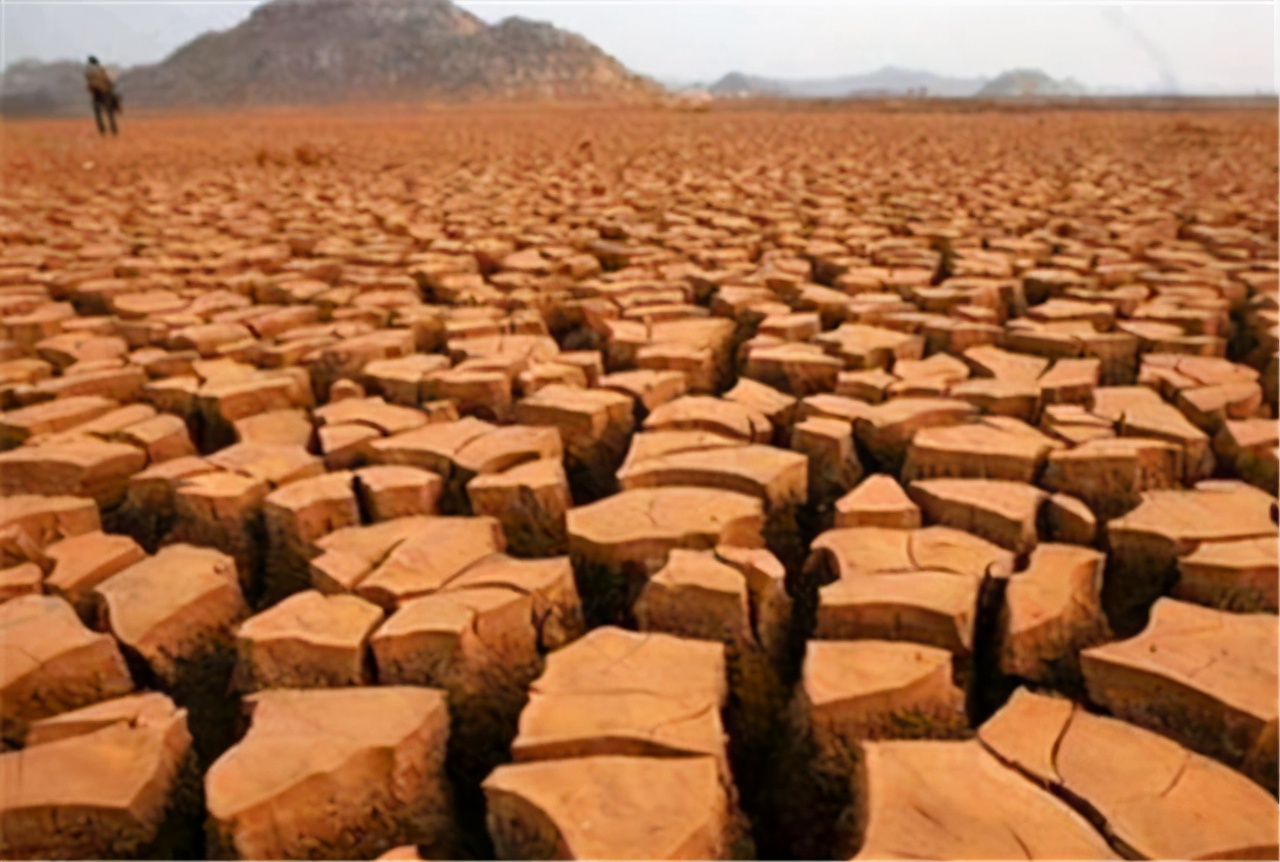 非洲大饥荒：1年饿死1600万人，这大概就是地狱的样子