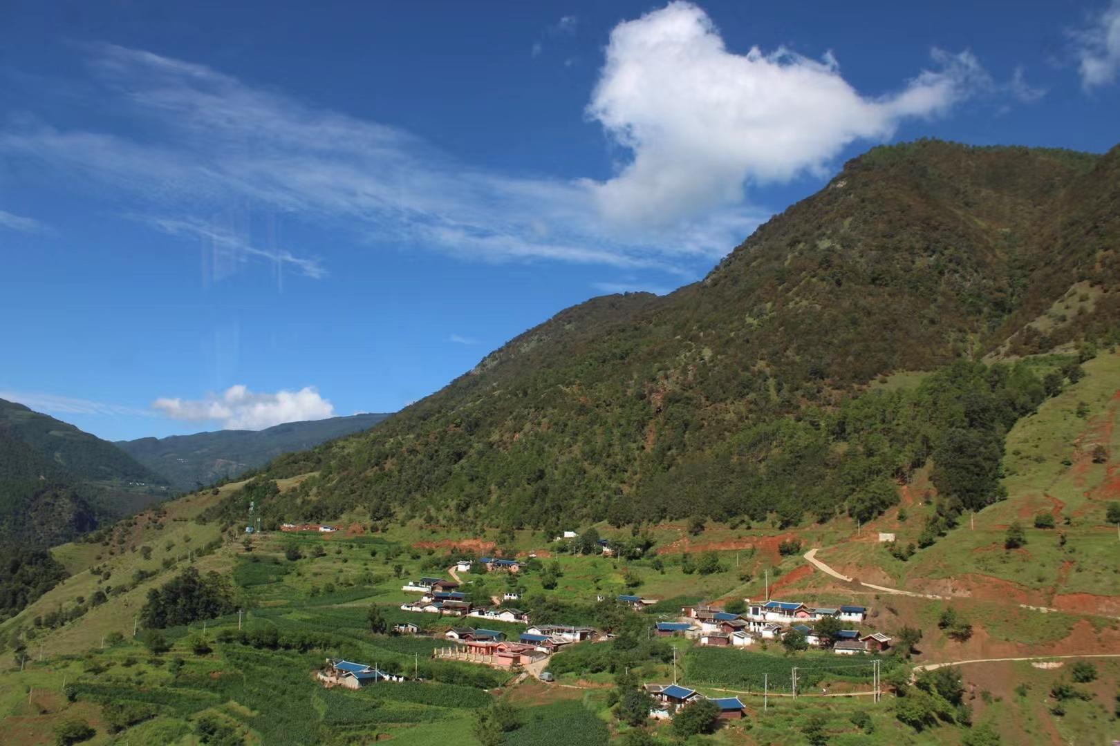 最土的是它，最甜的也是它｜董峰蜂蜜