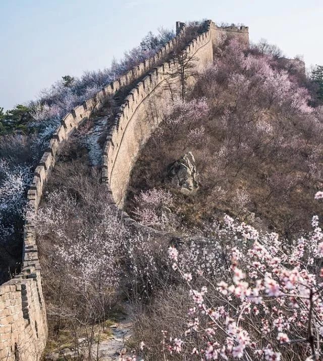 到了京郊这些花开四溢的“仙境”，您简直可以把日子过成诗！