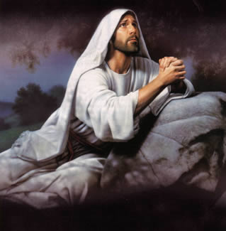 读书笔记摘抄有近义词反义词,读书笔记历史故事好词好句