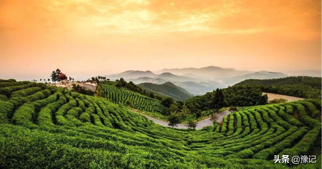 河南返乡提醒,提醒在外的人回家的句子