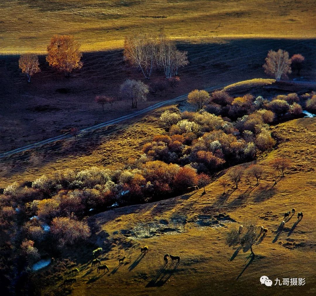 坝上草原天路美景,大美坝上风光系列之一