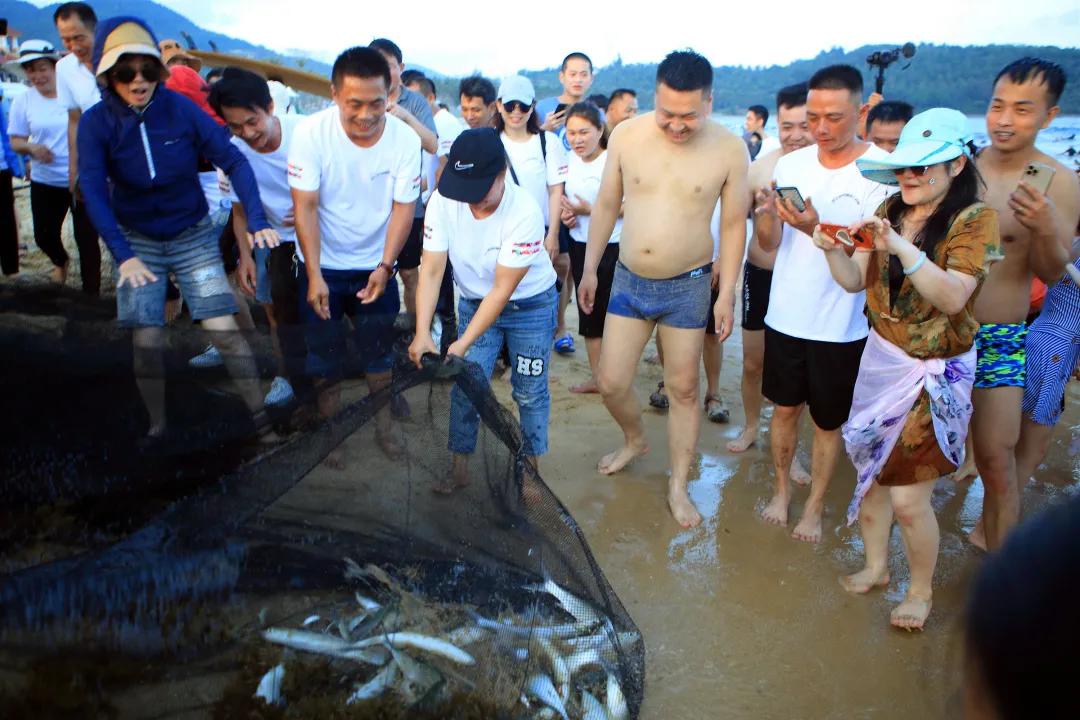 缤纷假日活动方案,缤纷假日暑期活动
