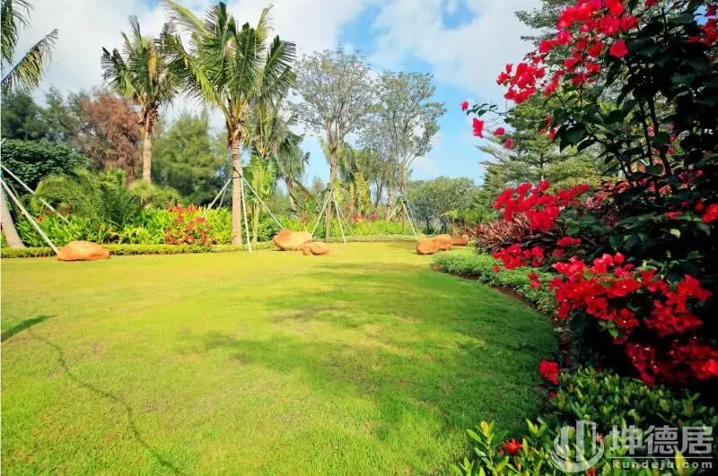 雅居乐金沙湾｜lotf瞰海公寓21500元/㎡起，西海岸绝版一线海景