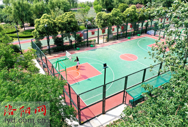 洛阳免费球场官网,洛阳王城球场
