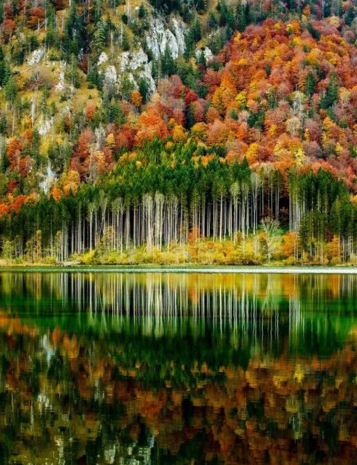 「诗词鉴赏」元曲中的秋天，另一番美丽