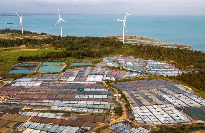 距海南仅20km，这个处女地比台湾风情、比三亚便宜，你错过了吗？