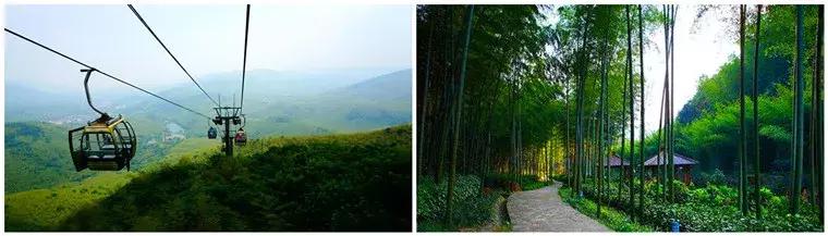 扬帆再起航完整视频,扬帆再起航完整版