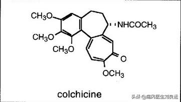 秋水仙碱可以缓解痛风吗,秋水仙碱对痛风有消肿止痛吗