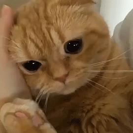 男言之隐怎么样,男言之隐介绍