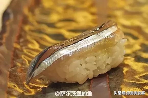 32种经典寿司做法视频,寿司常用的鱼