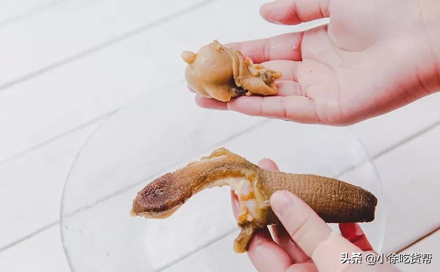 象拔蚌刺身教学,象拔蚌刺身摆盘