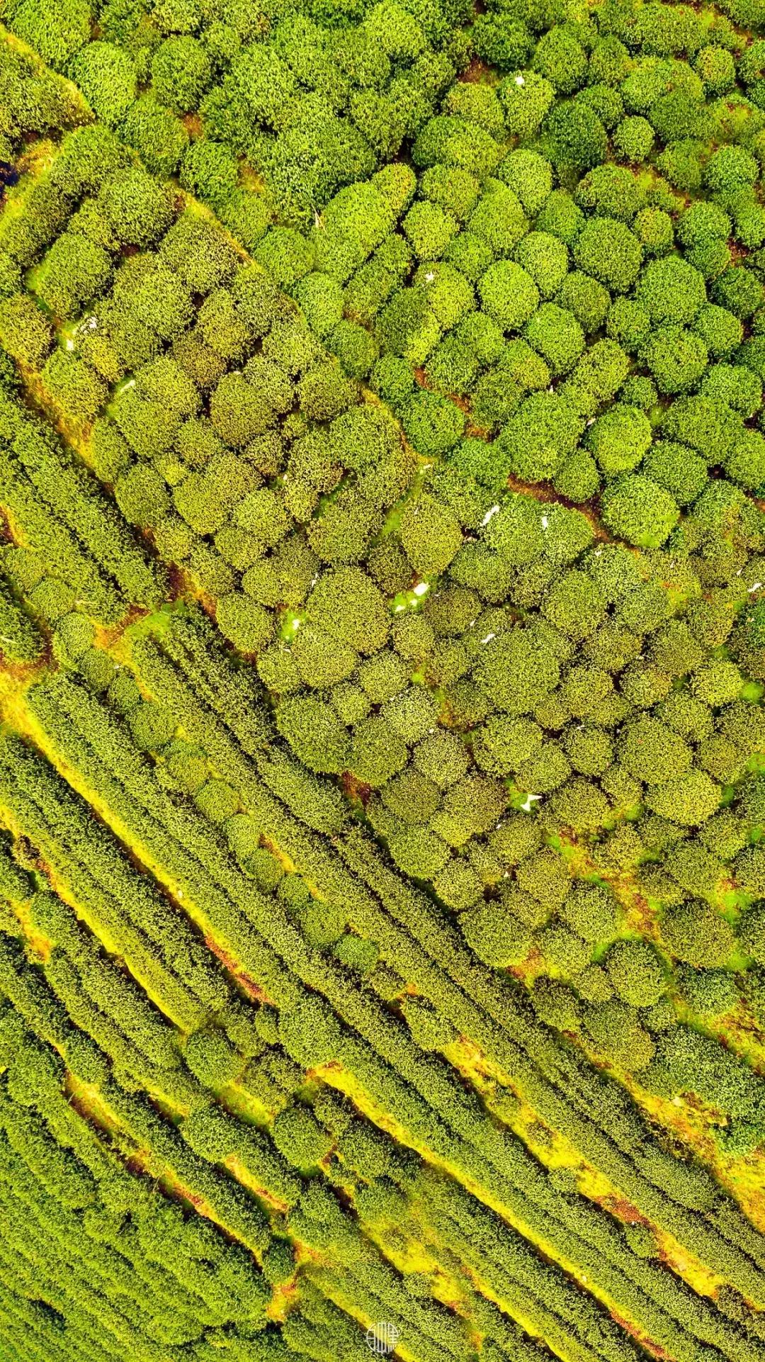 消失一年，中国航拍第一人回归！36张祖国山河美哭无数网友，再次惊艳了世界...