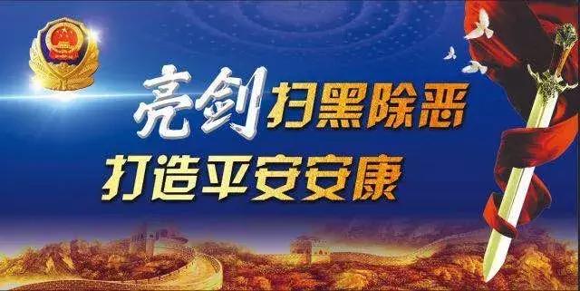 安康市公安局扫黑除恶专项斗争大事记