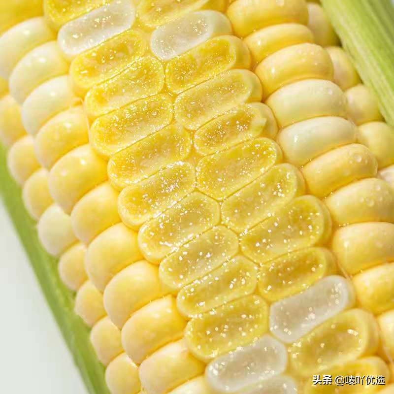 爆浆奶香水果玉米,水果玉米可以直接生吃吗