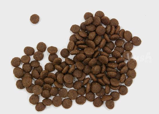 猫粮到底买什么牌子好呢,什么牌子的猫粮好猫粮选购攻略