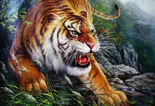 人到四十五出山虎有什么说法,人到四十五正是出山虎的年龄