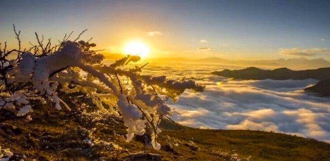 雅安上里古镇最好的民宿推荐,原地过年品味年味