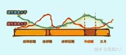 姨妈期间长痘图片,姨妈痘一般长在哪个部位