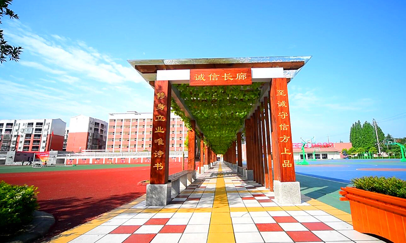 四川岳池县东湖学校,岳池县东湖学校