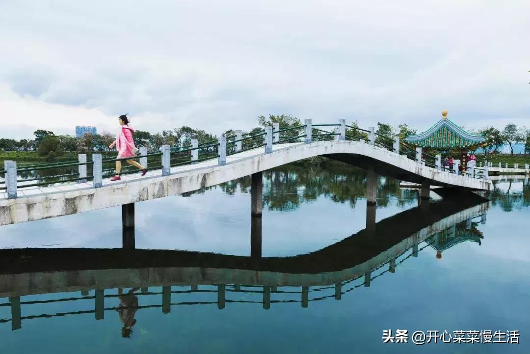 肇庆七星岩景区可以玩多久,全国最便宜的5a级景区