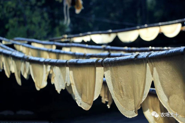 回农村小本创业,农村冷门小本创业生意