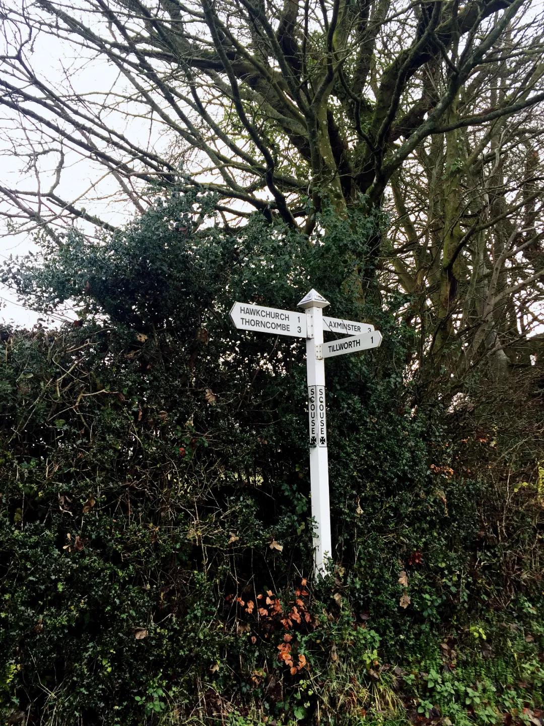 人类学家小说,费孝通人类学的著作