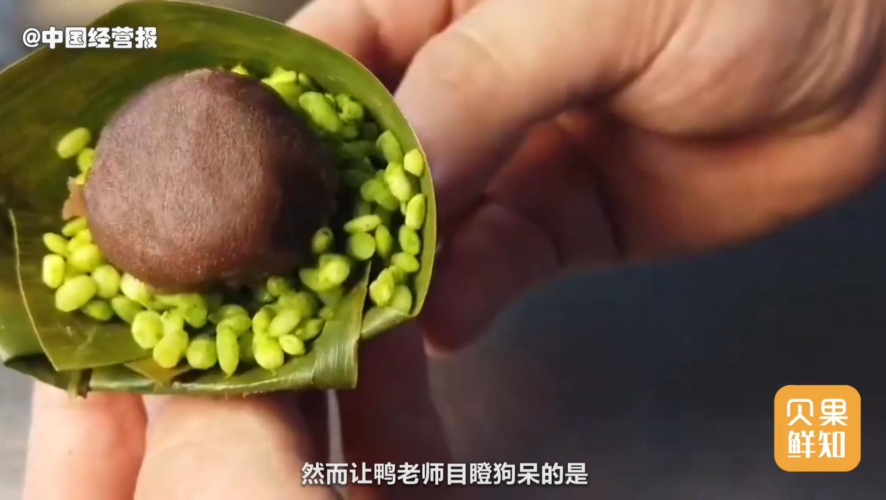 从头发到鞋垫都是商机？2020年发财姿势盘点，你赚钱了吗？