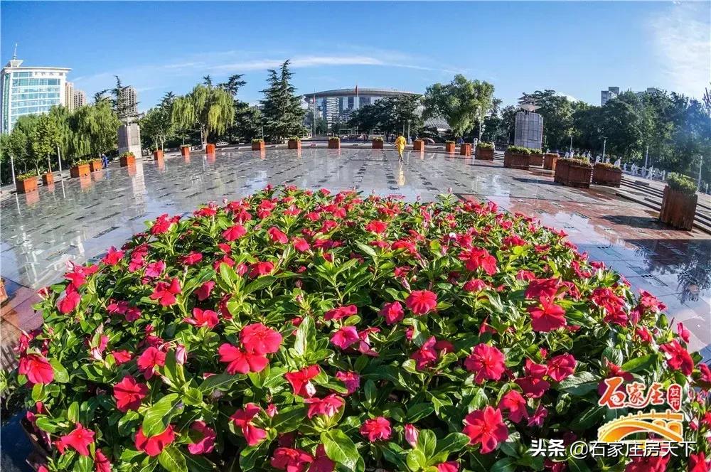 石家庄最浪漫约会圣地,七夕情侣约会的地方石家庄